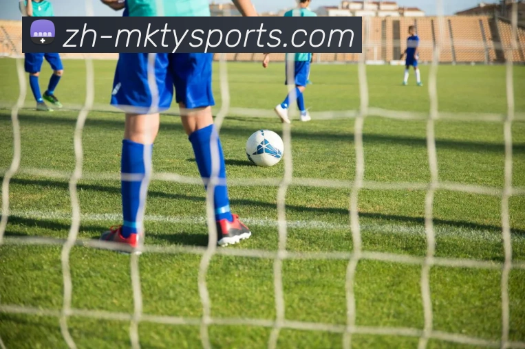 球赛投注平台生态图