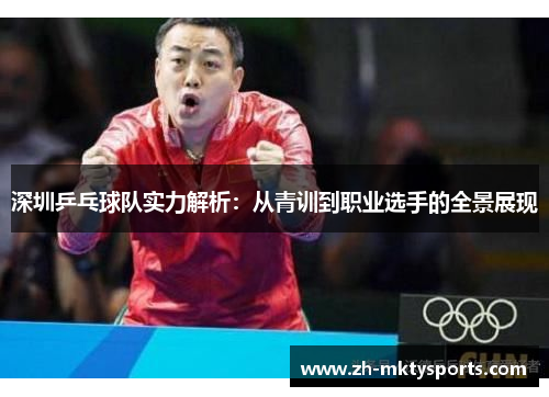 深圳乒乓球队实力解析：从青训到职业选手的全景展现